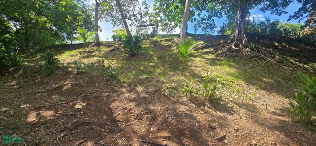 0 bed Land For Sale in Garabito, Puntarenas - 1