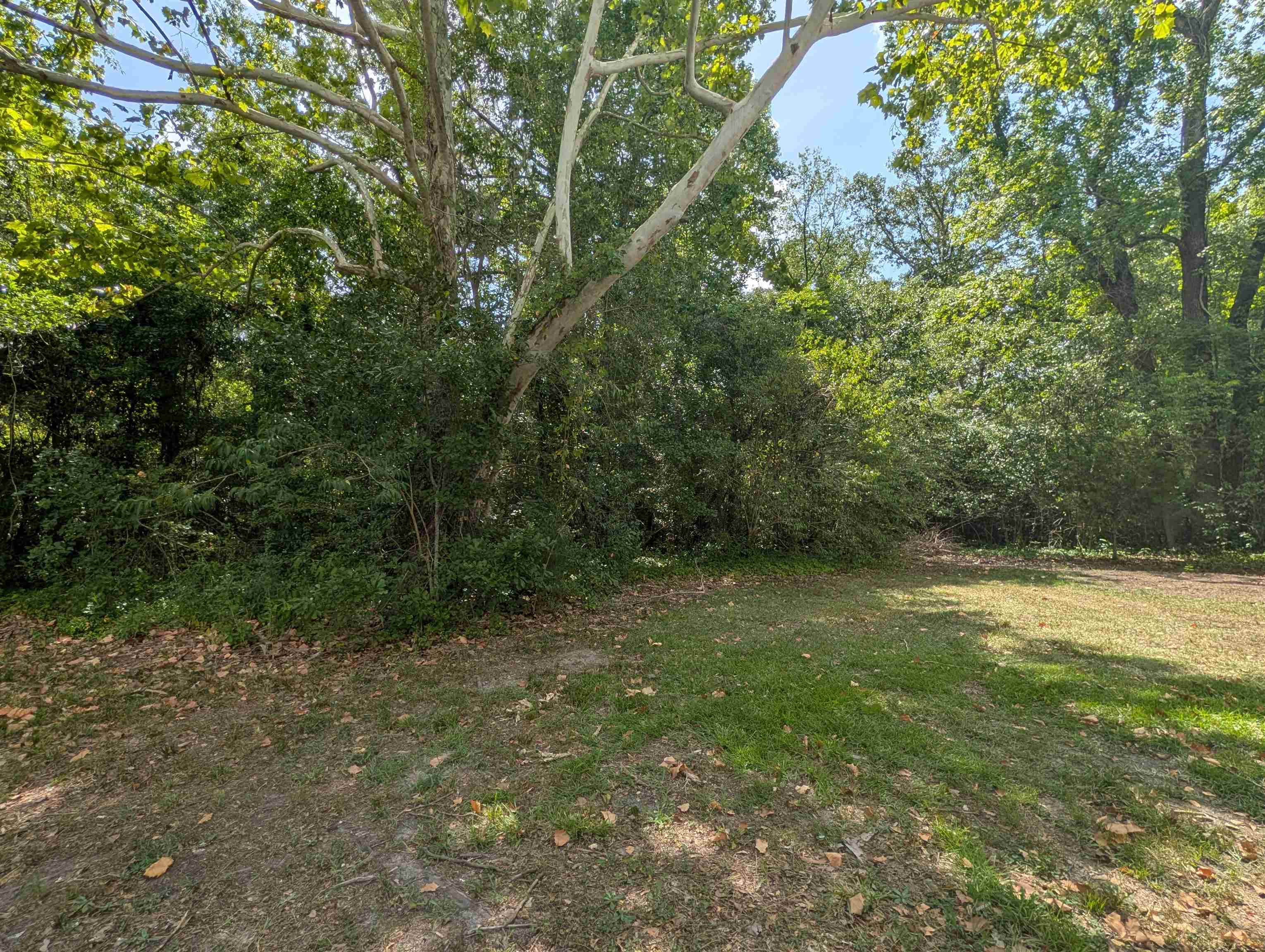 2618371 | Photo 22