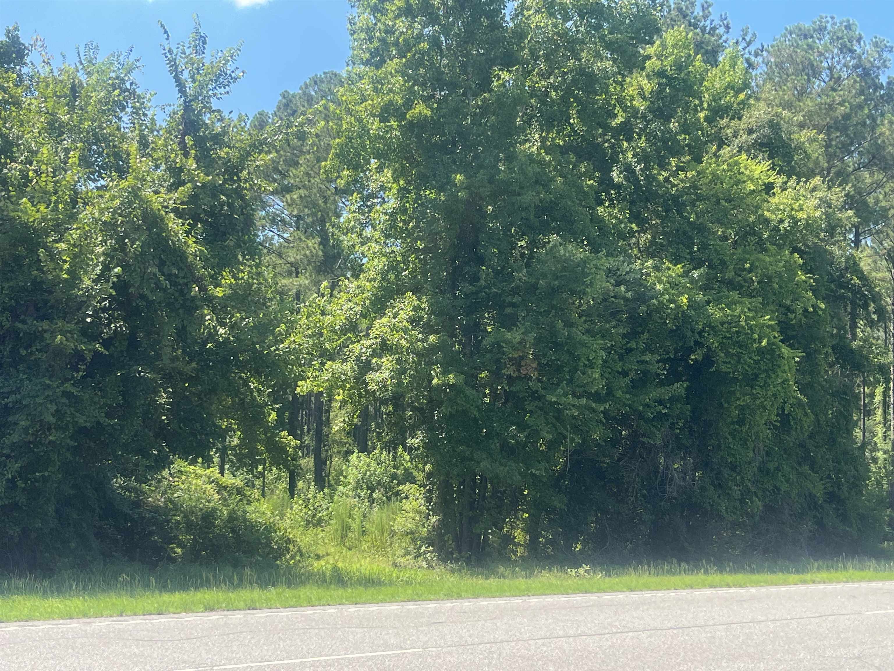 2618405 | Photo 22