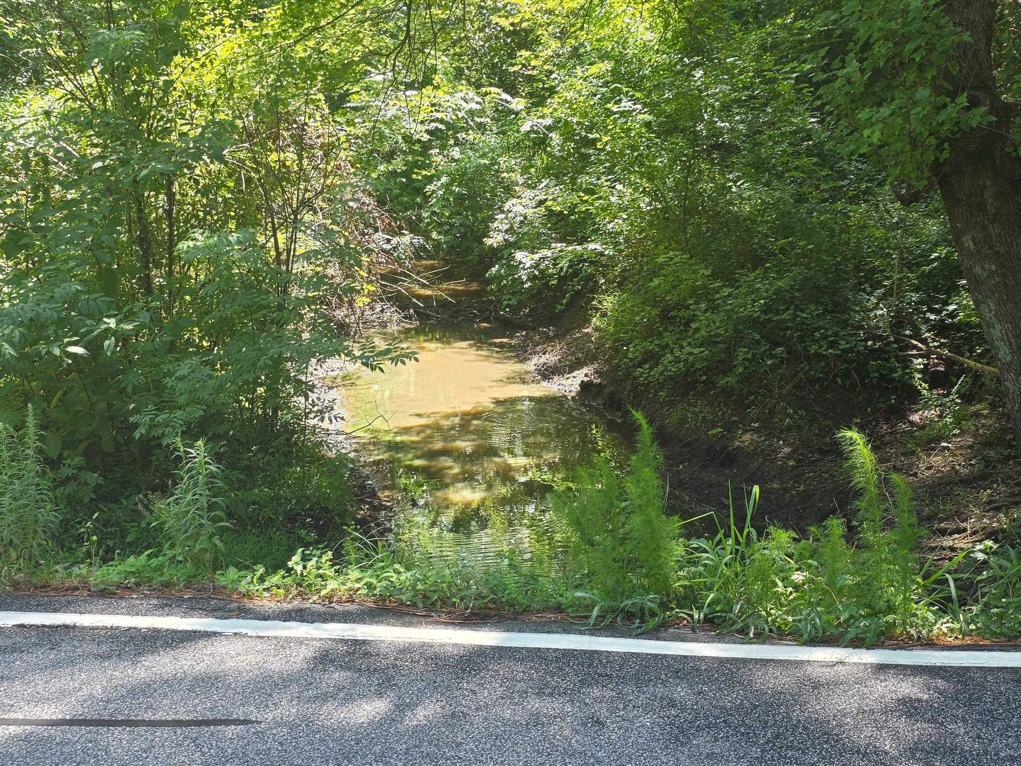 2618406 | Photo 2