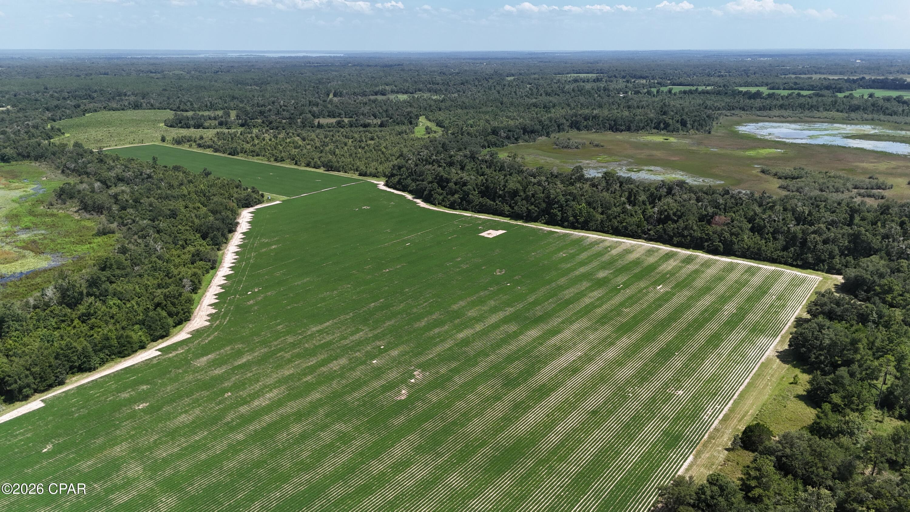 0 Longpond Road, Grand Ridge, FL 32442