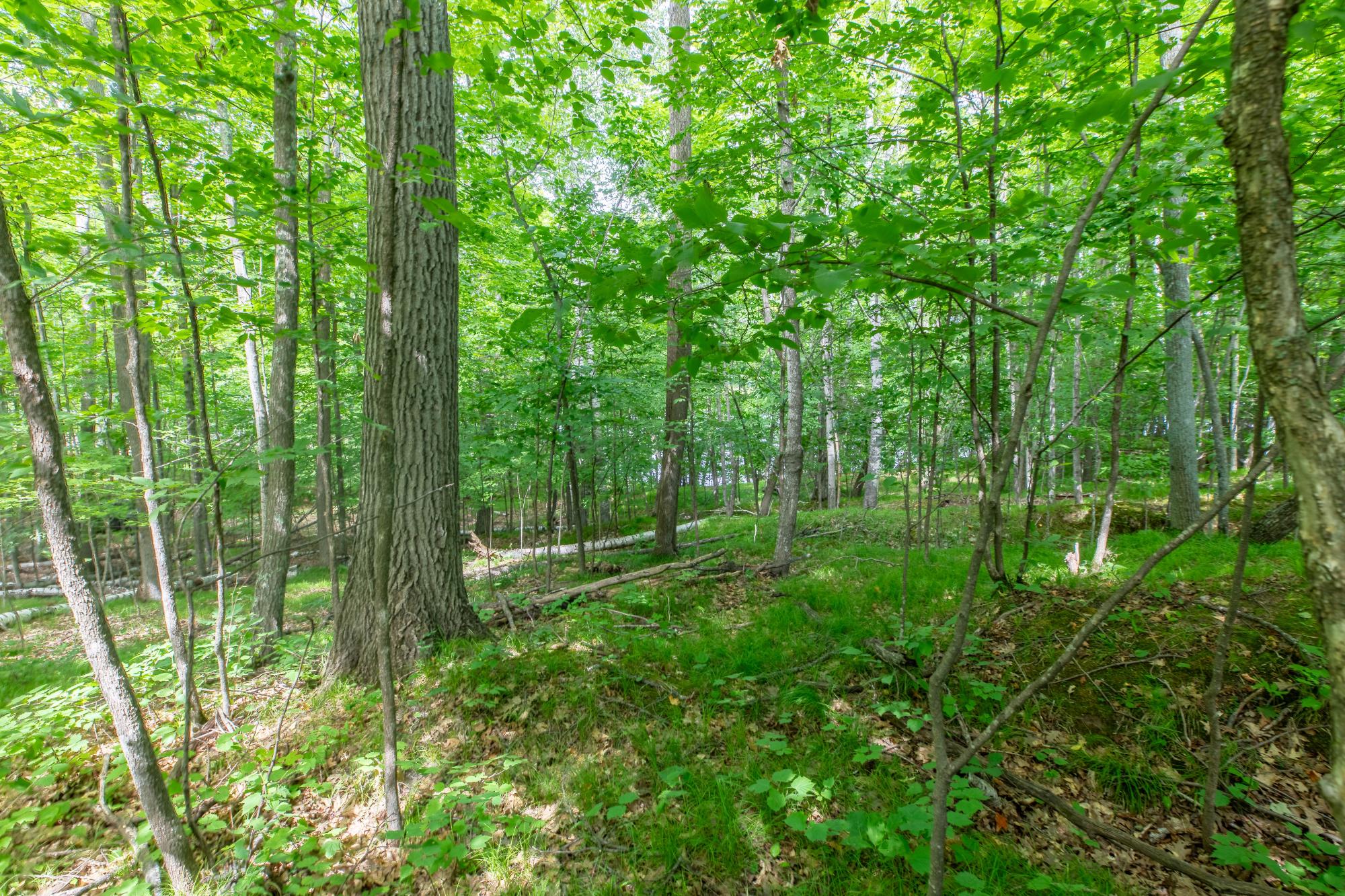 Prune Lake Property Lot Round Lake Rd Photo 11