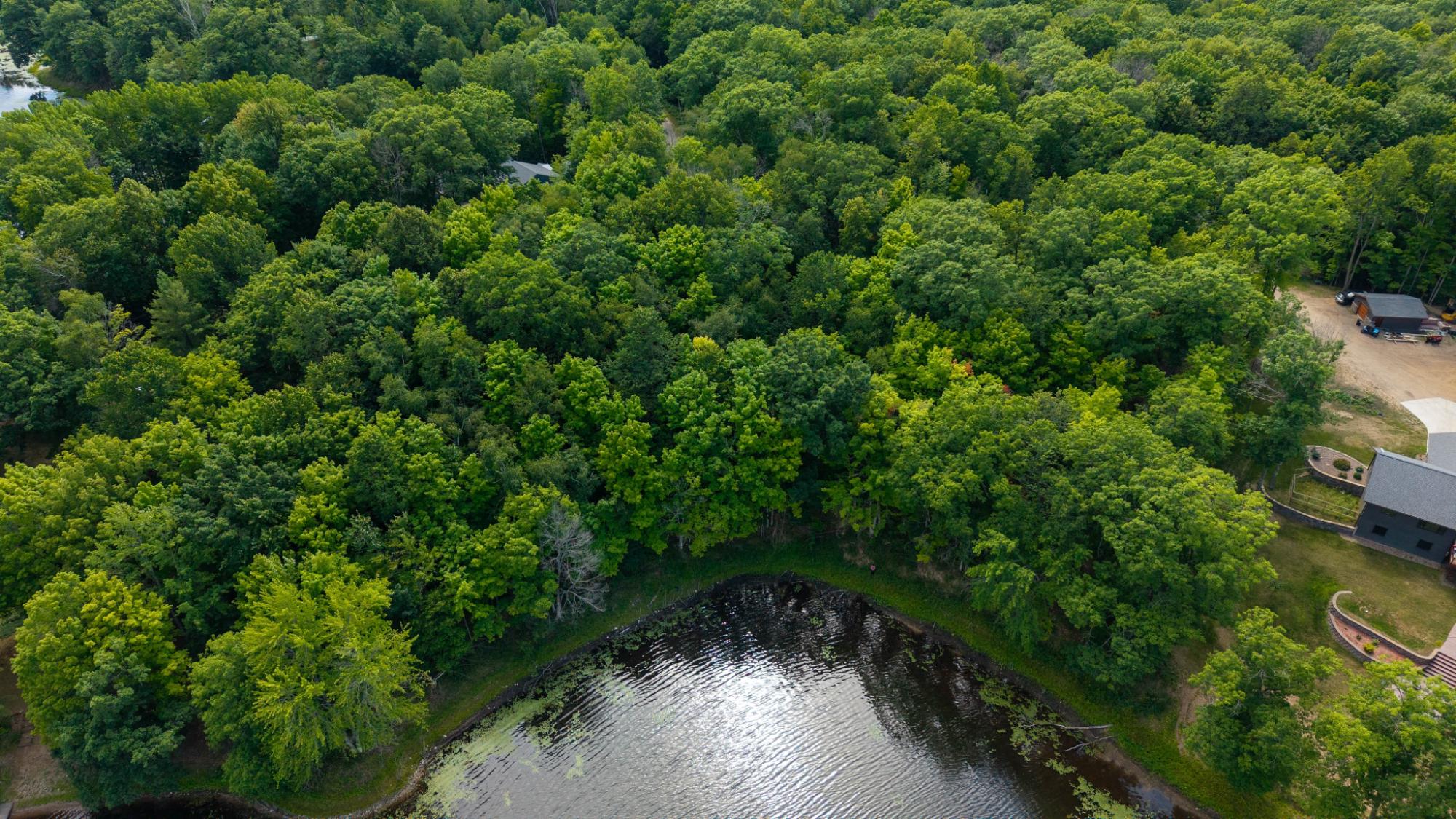 Prune Lake Property Lot Round Lake Rd Photo 17