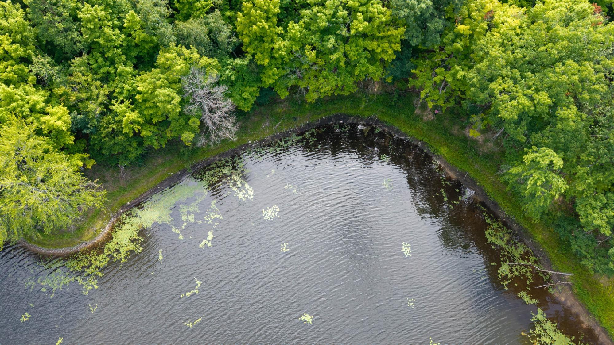 Prune Lake Property Lot Round Lake Rd Photo 19