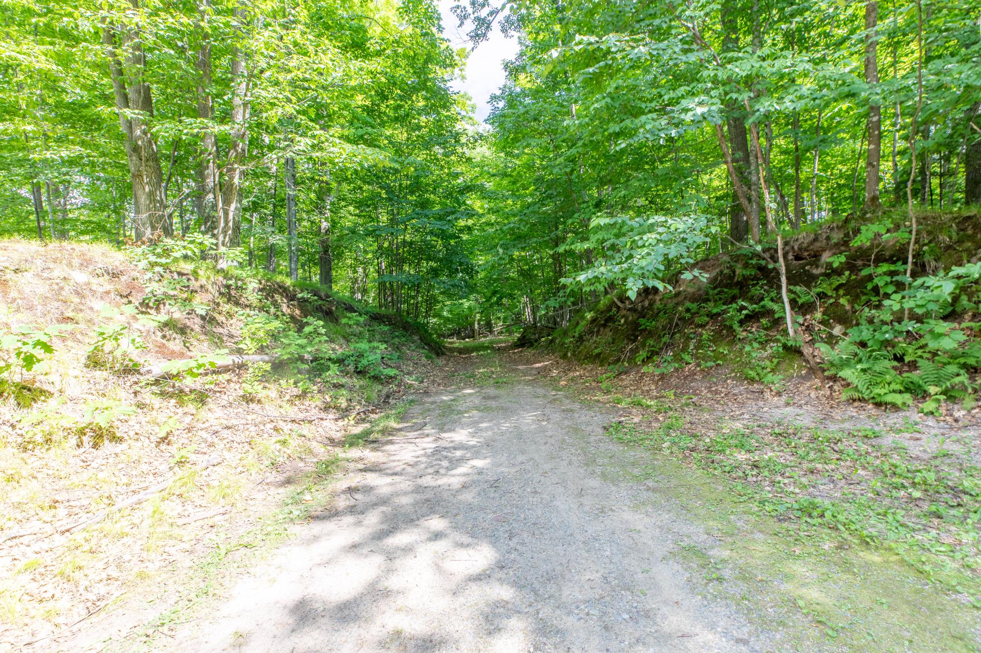 Prune Lake Property Lot Round Lake Rd Photo 4