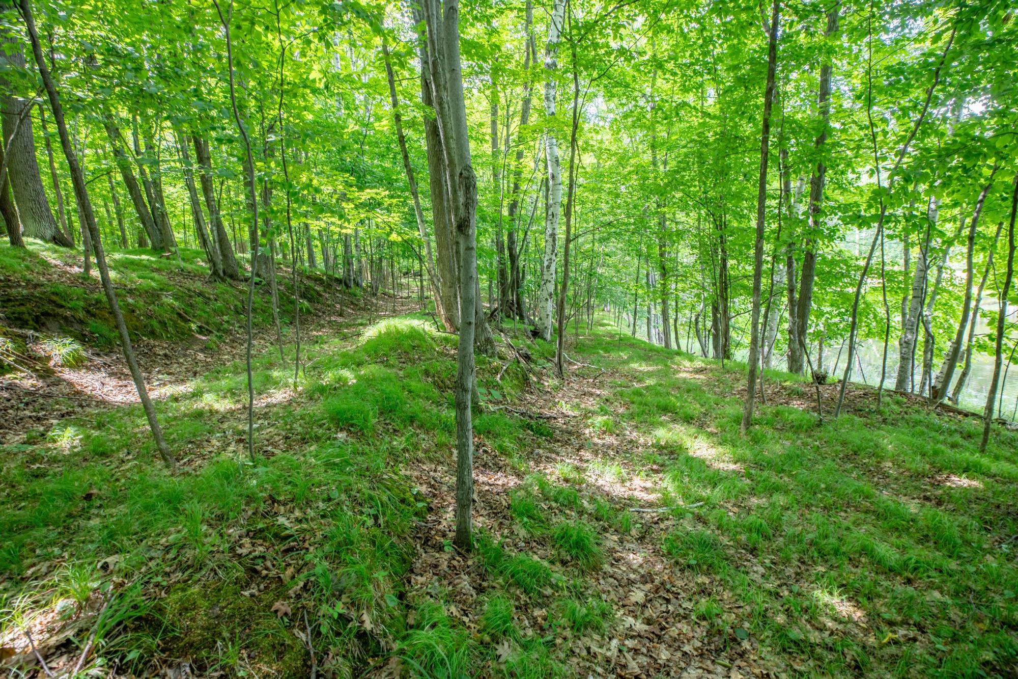 Prune Lake Property Lot Round Lake Rd Photo 7
