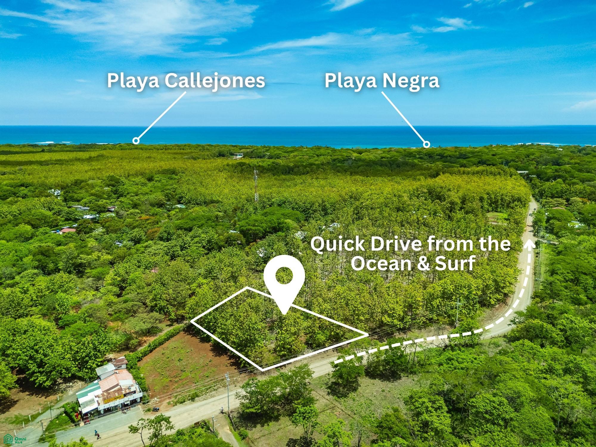  bed Land For Sale in Santa Cruz, Guanacaste - 1