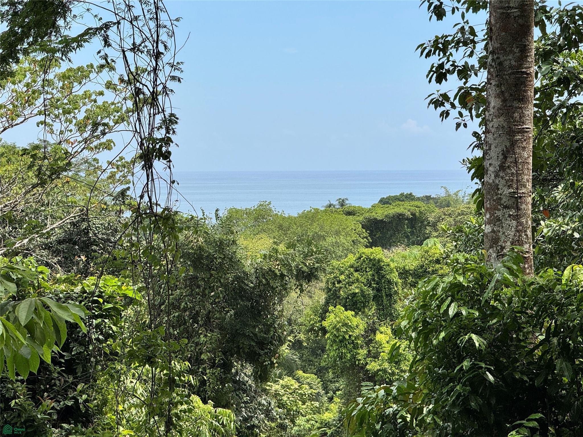  bed Land For Sale in Osa, Puntarenas - 1