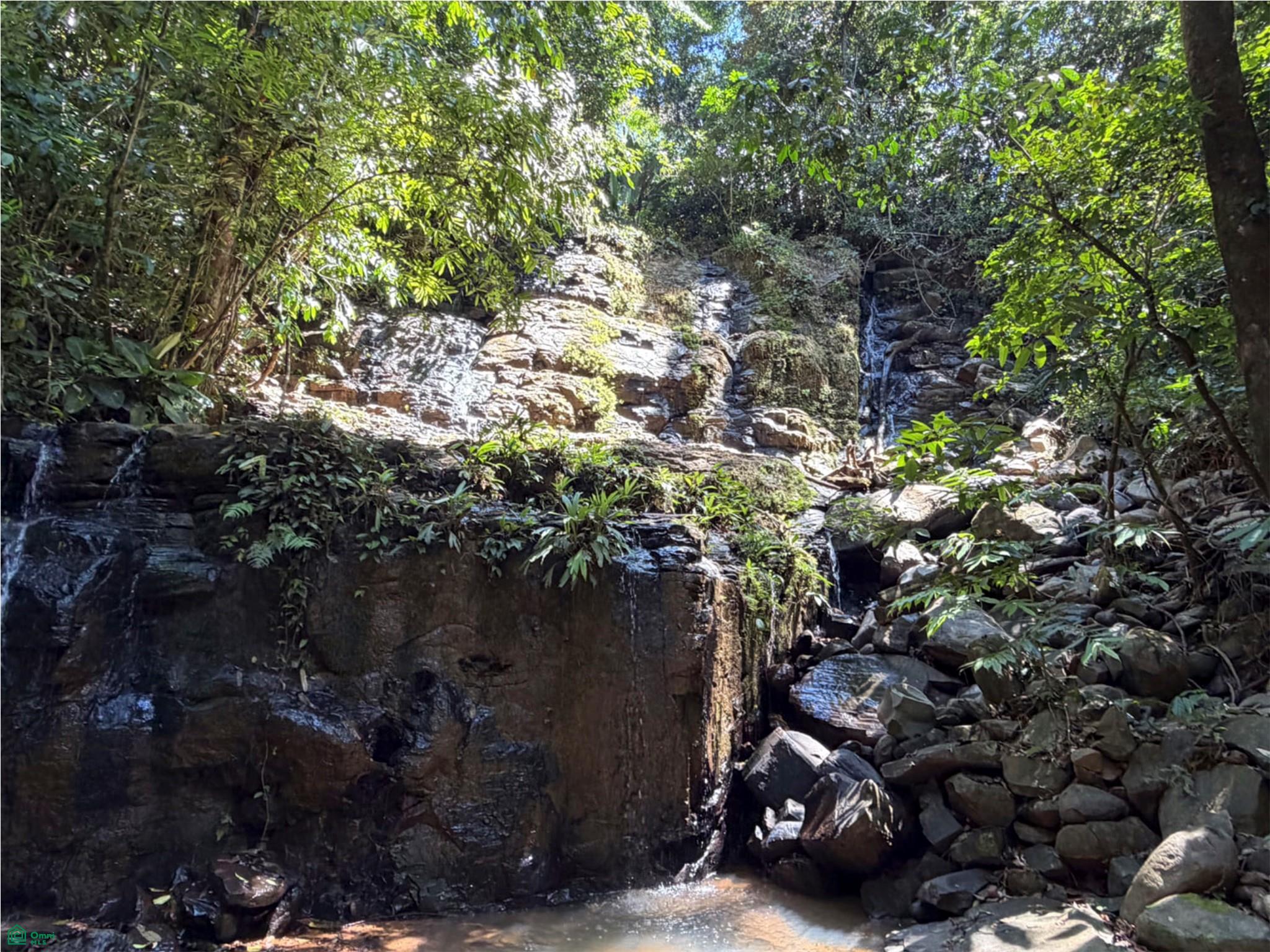  bed Land For Sale in Perez Zeledon, San Jose - 1