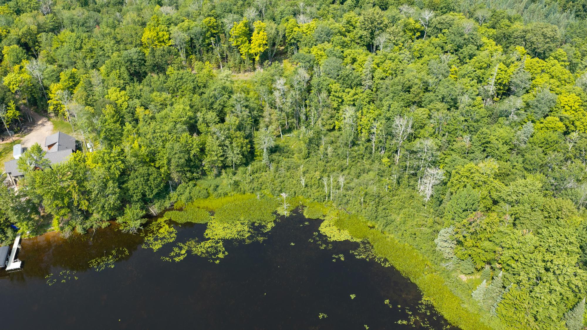 Birch Lake Property Off W Birch Lake Rd Photo 20
