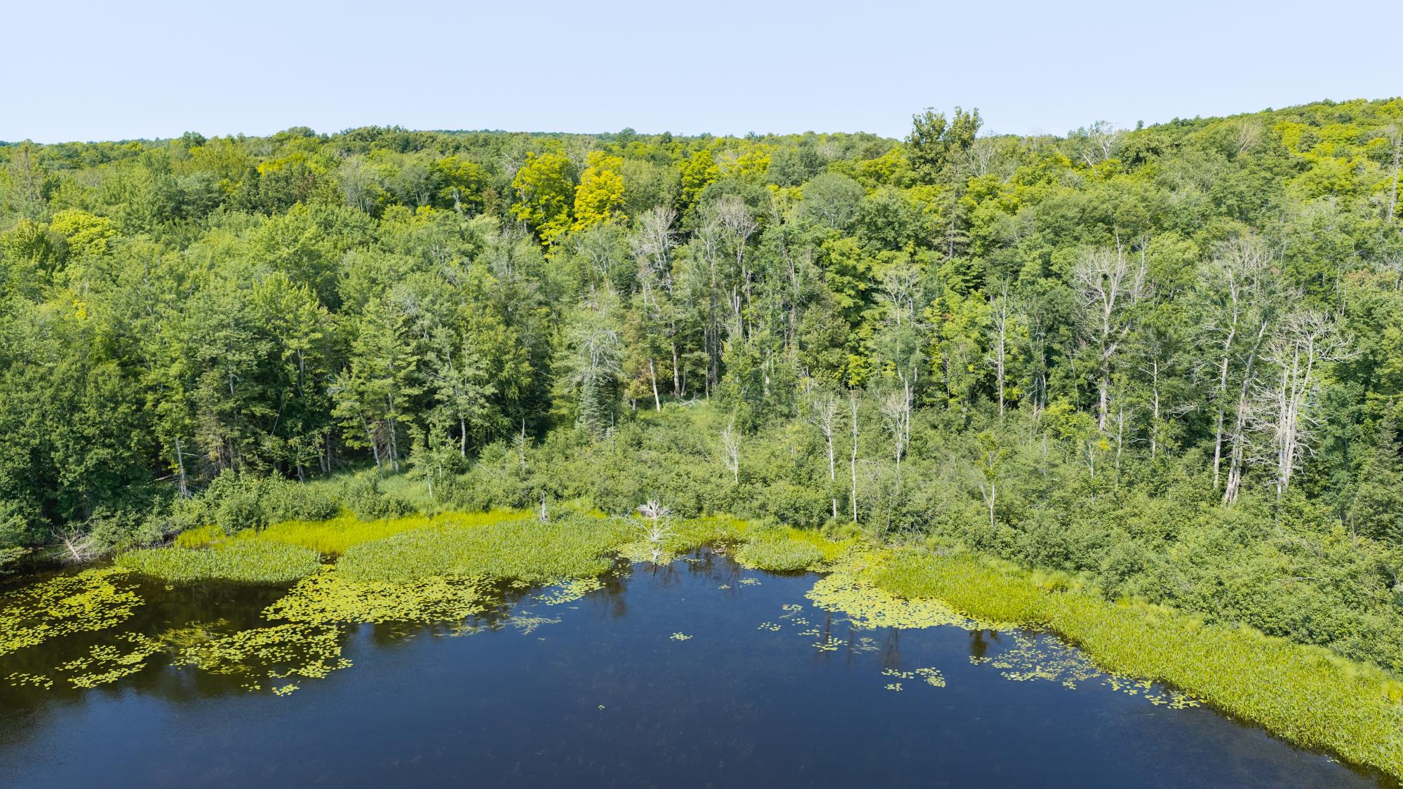 Birch Lake Property Off W Birch Lake Rd Photo 22