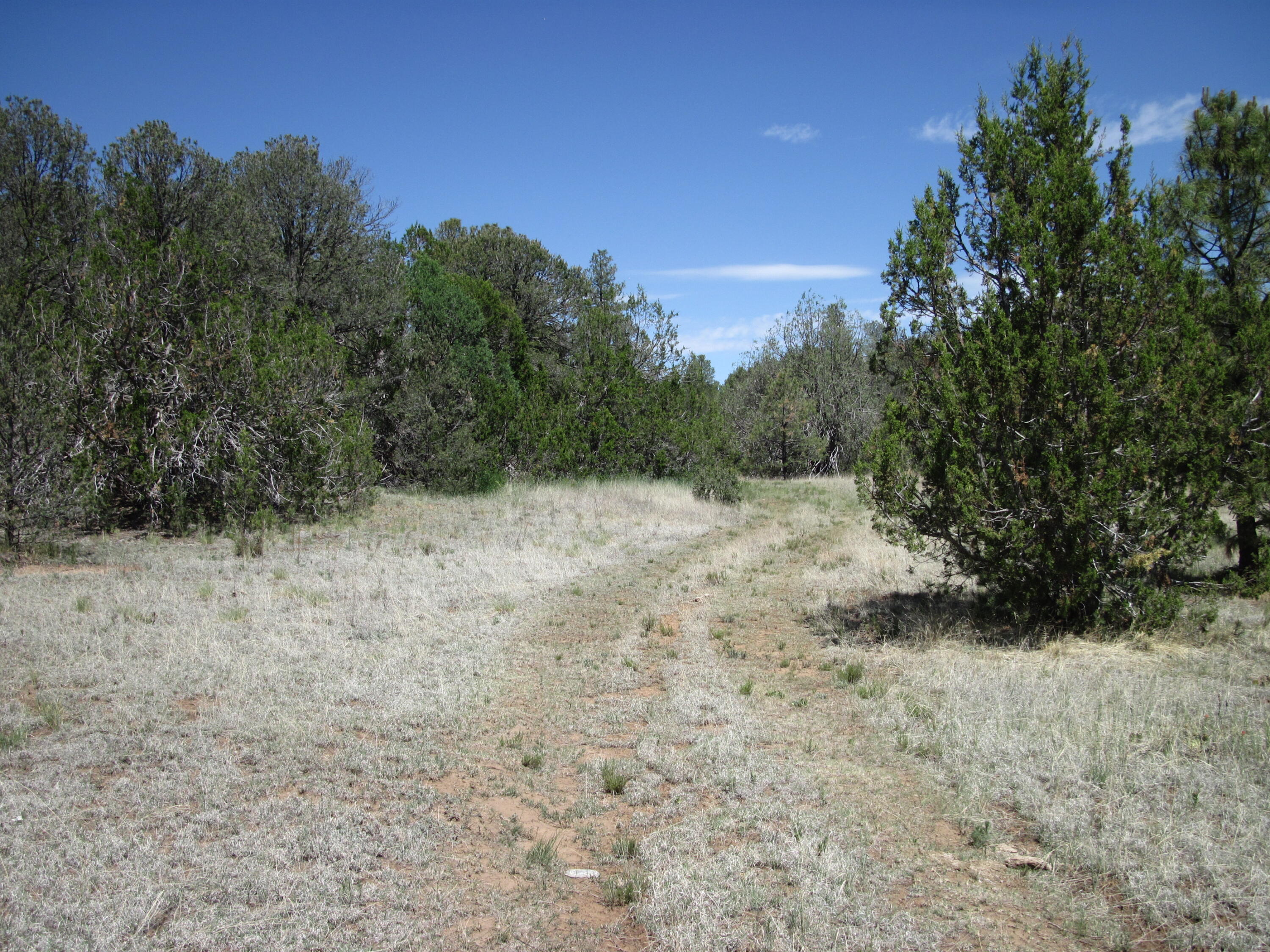 156 Jesse James Road 