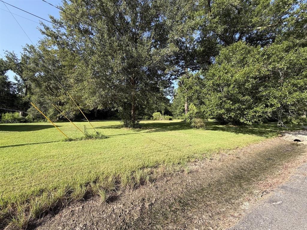 379 Calcasieu Avenue — photo 4