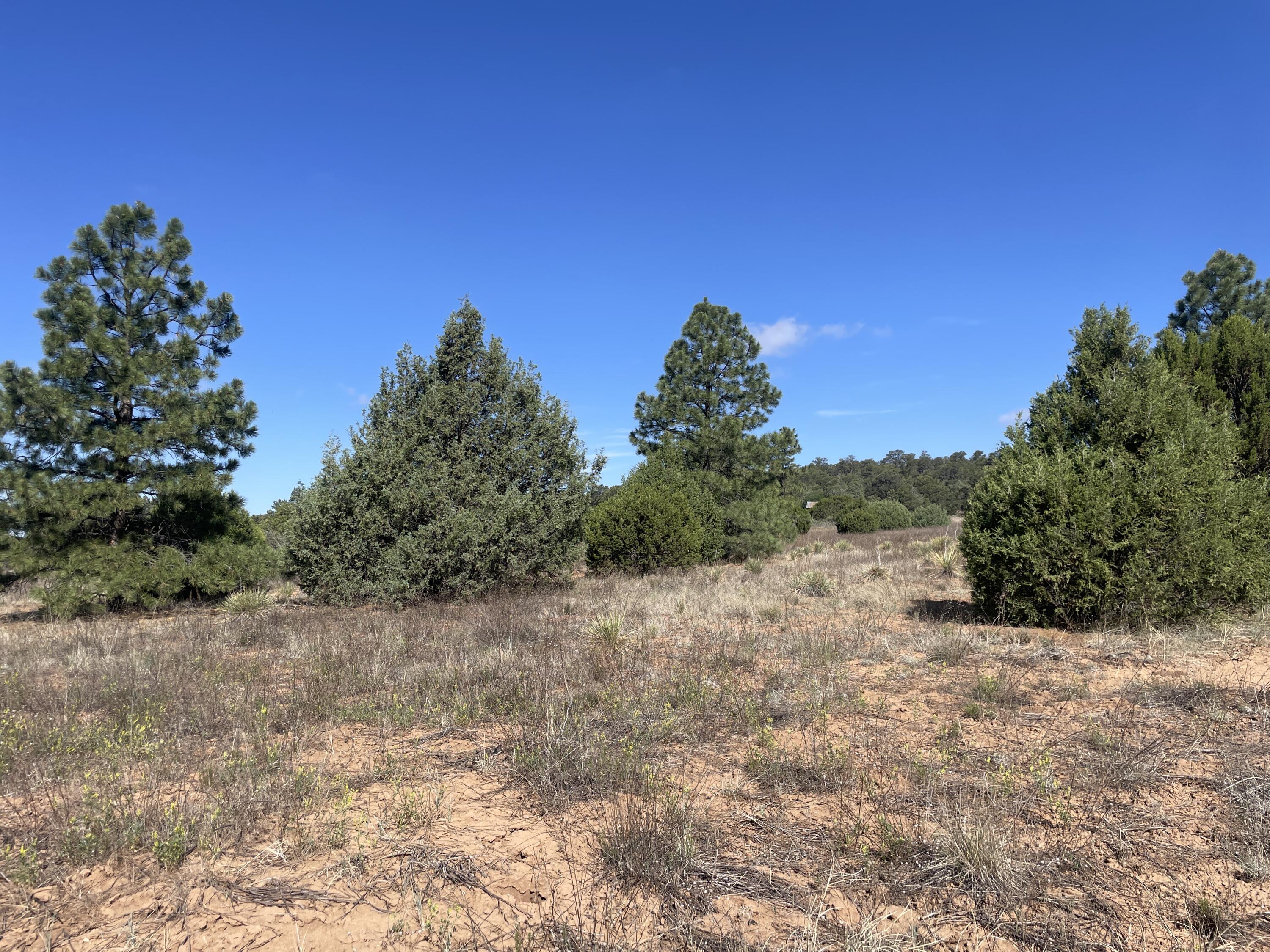 119 Anaya Road 
