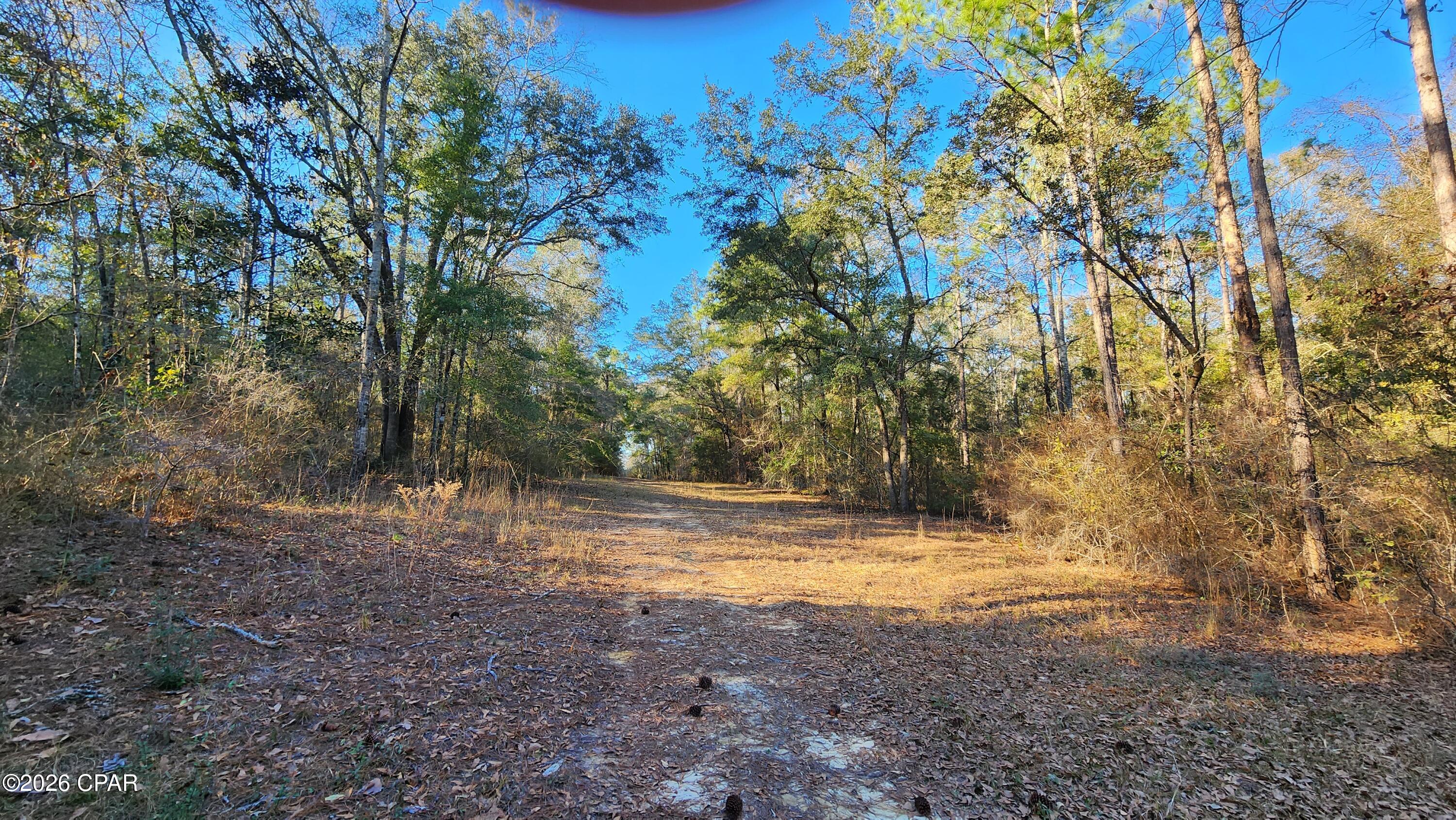 1st image of 1221 Js Jones Rd, Graceville, FL 32440 | MLS# 793171
