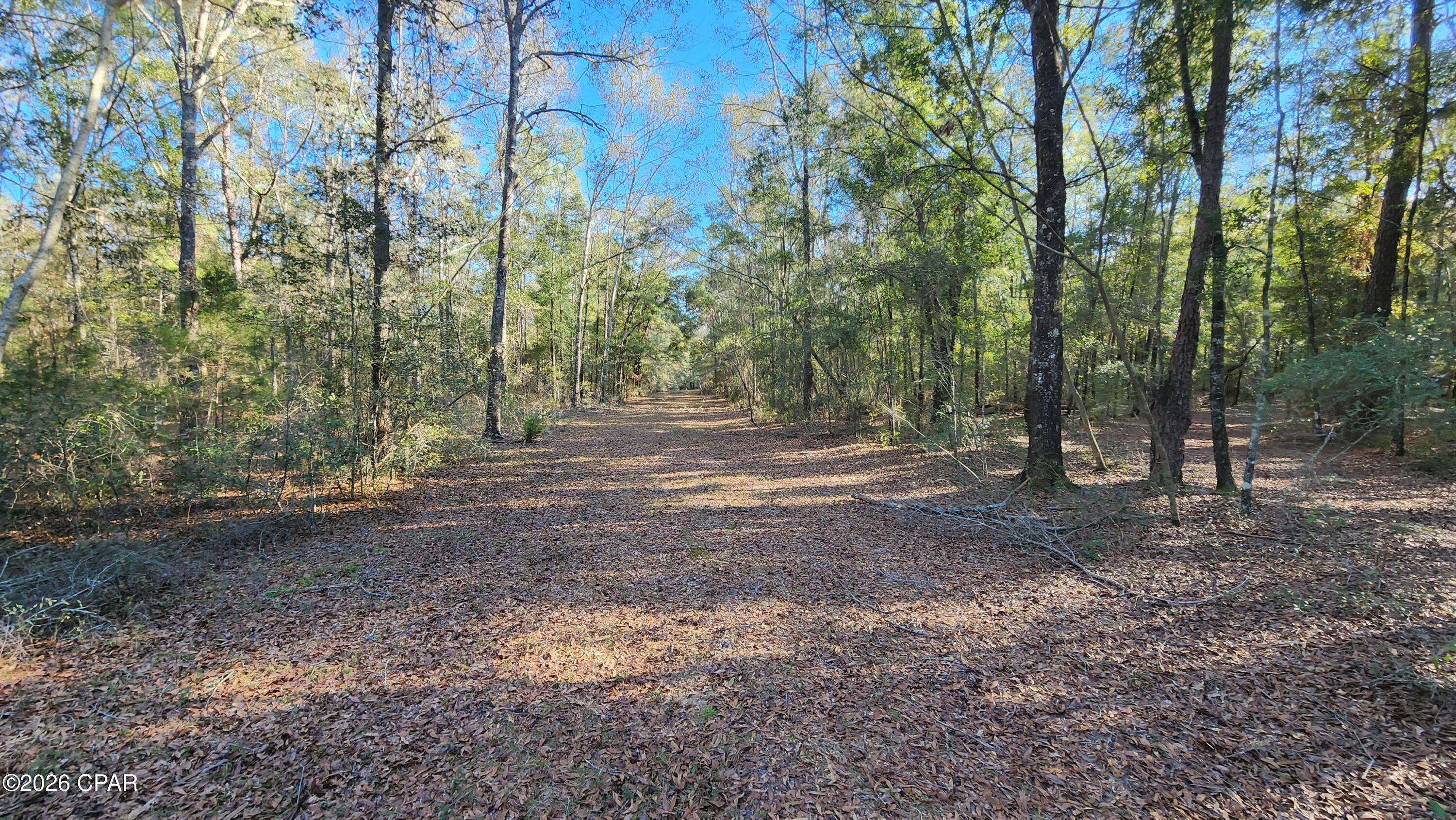 4th image of 1221 Js Jones Rd, Graceville, FL 32440 | MLS# 793171