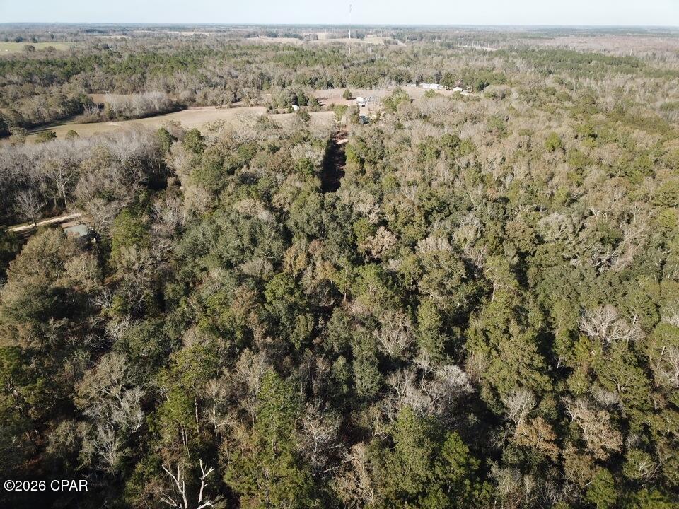 5th image of 1221 Js Jones Rd, Graceville, FL 32440 | MLS# 793171