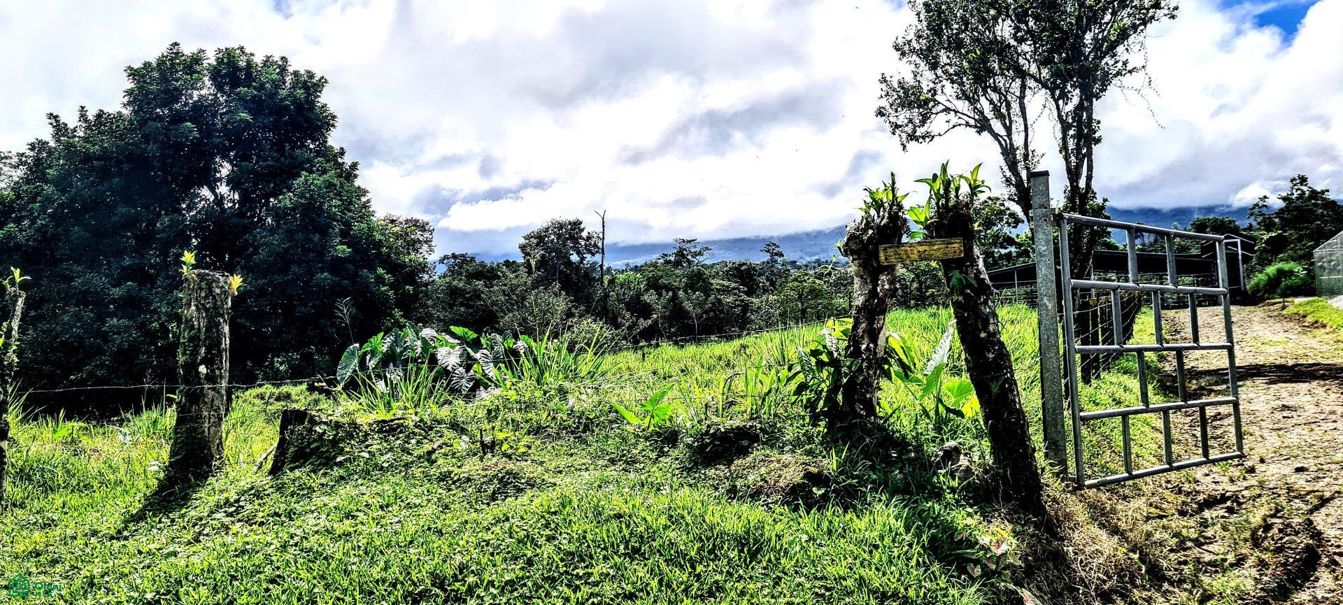  bed Land For Sale in Upala, Alajuela - 1