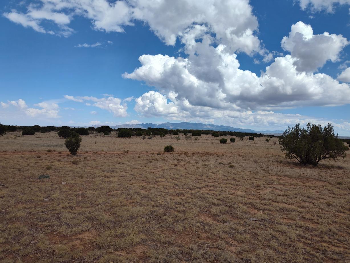 21st image of 106 Cottage Loop, Mountainair, NM 87036 | MLS# 1108024