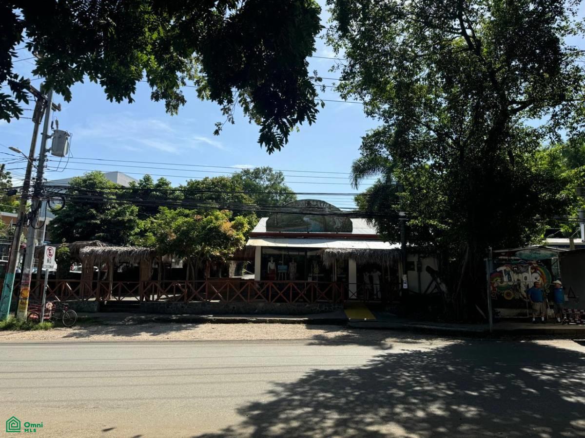 0 bed Commercial For Sale in Carrillo, Guanacaste - 1
