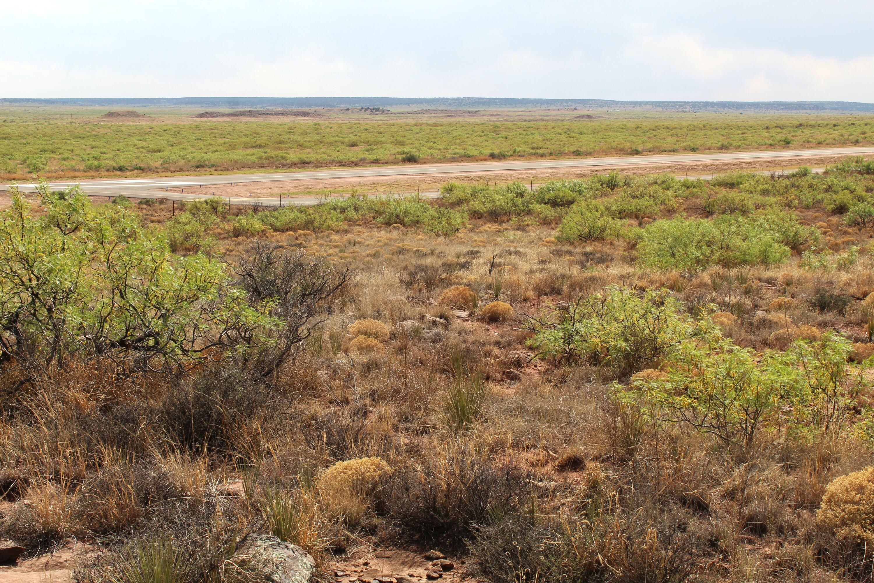 1st image of Lots 25 26 Nickel Ln, Conchas Dam, NM 88416 | MLS# 1108055