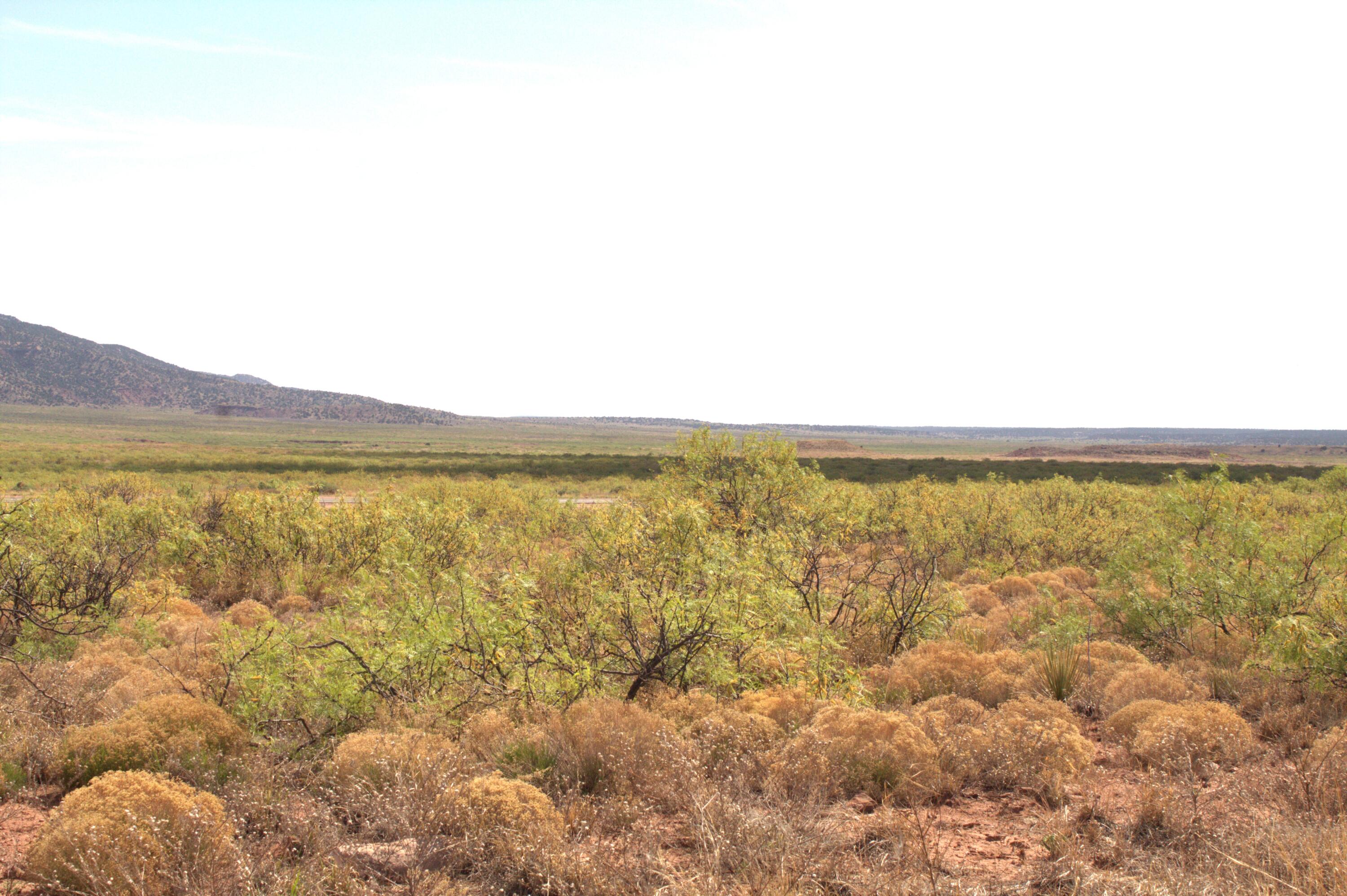 Photo 3 of Sale Pending at Lots 25-26 Nickel Ln, Conchas Dam, NM 88416 | MLS# 1108055 | Listing updated on 2026-09-12