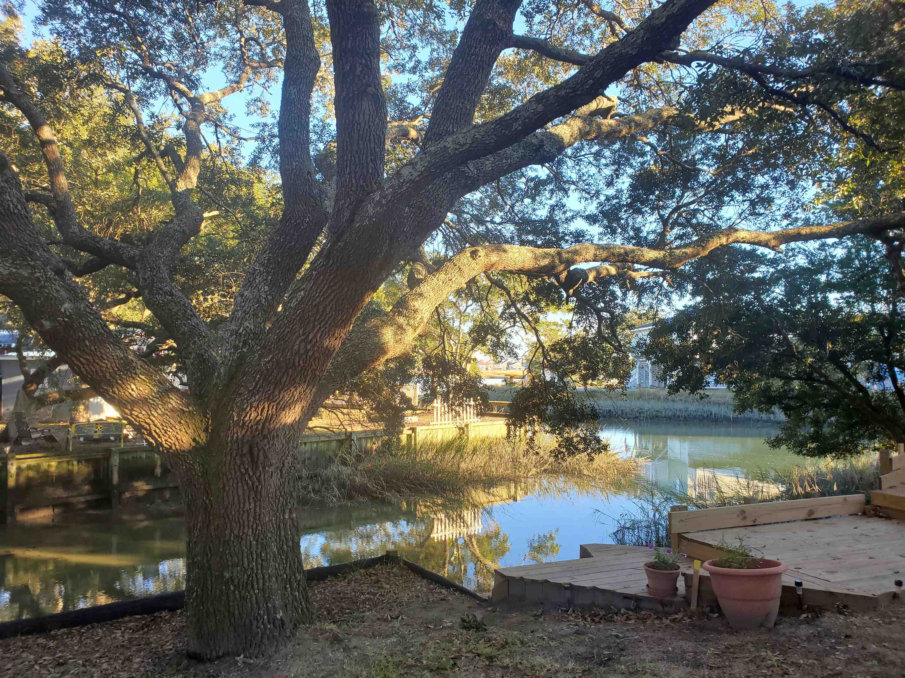 2618706 | Photo 38