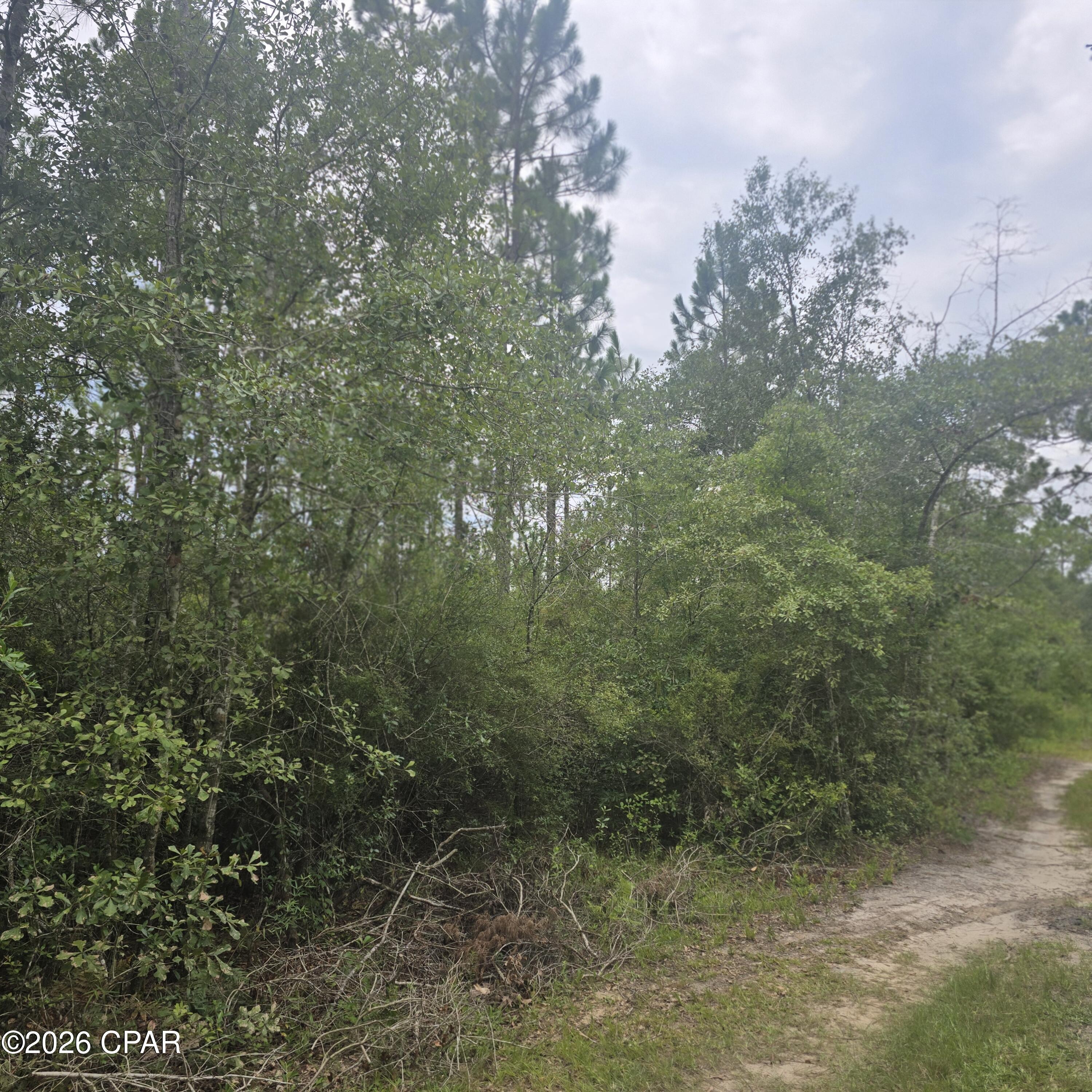 3rd image of 10320 River Alley Rd, Youngstown, FL 32466 | MLS# 793238