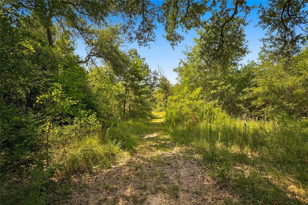 11th image of 21432 Sibley Rd, Ponchatoula, LA 70454 | MLS# 2569639
