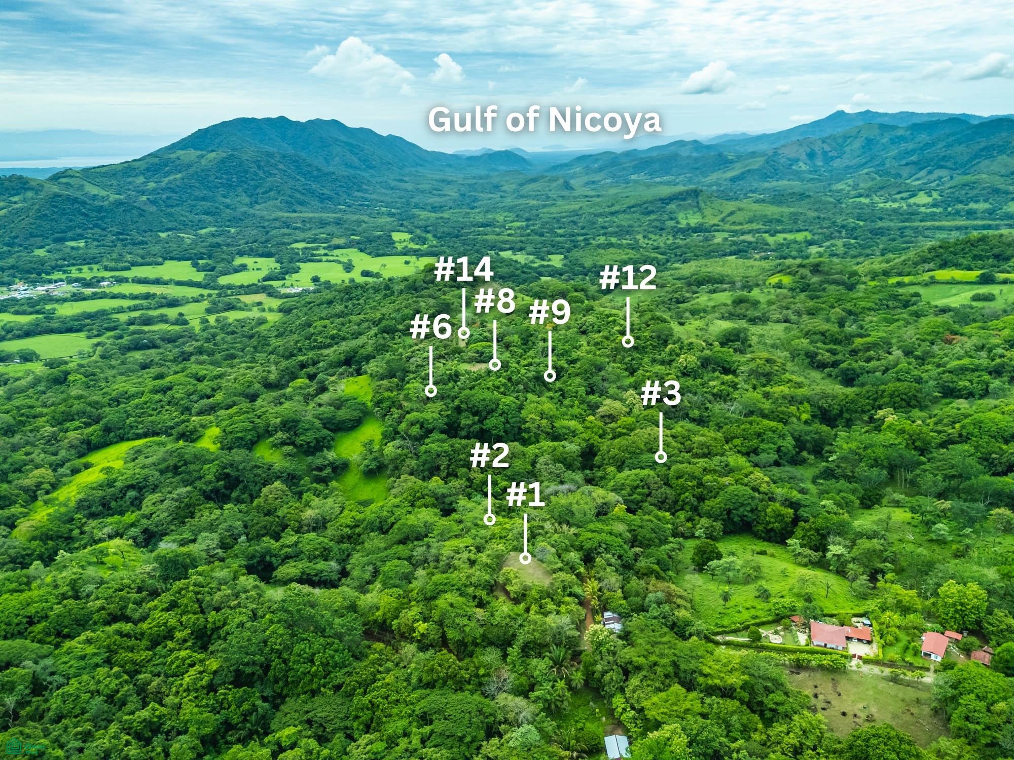  bed Land For Sale in Hojancha, Guanacaste - 1