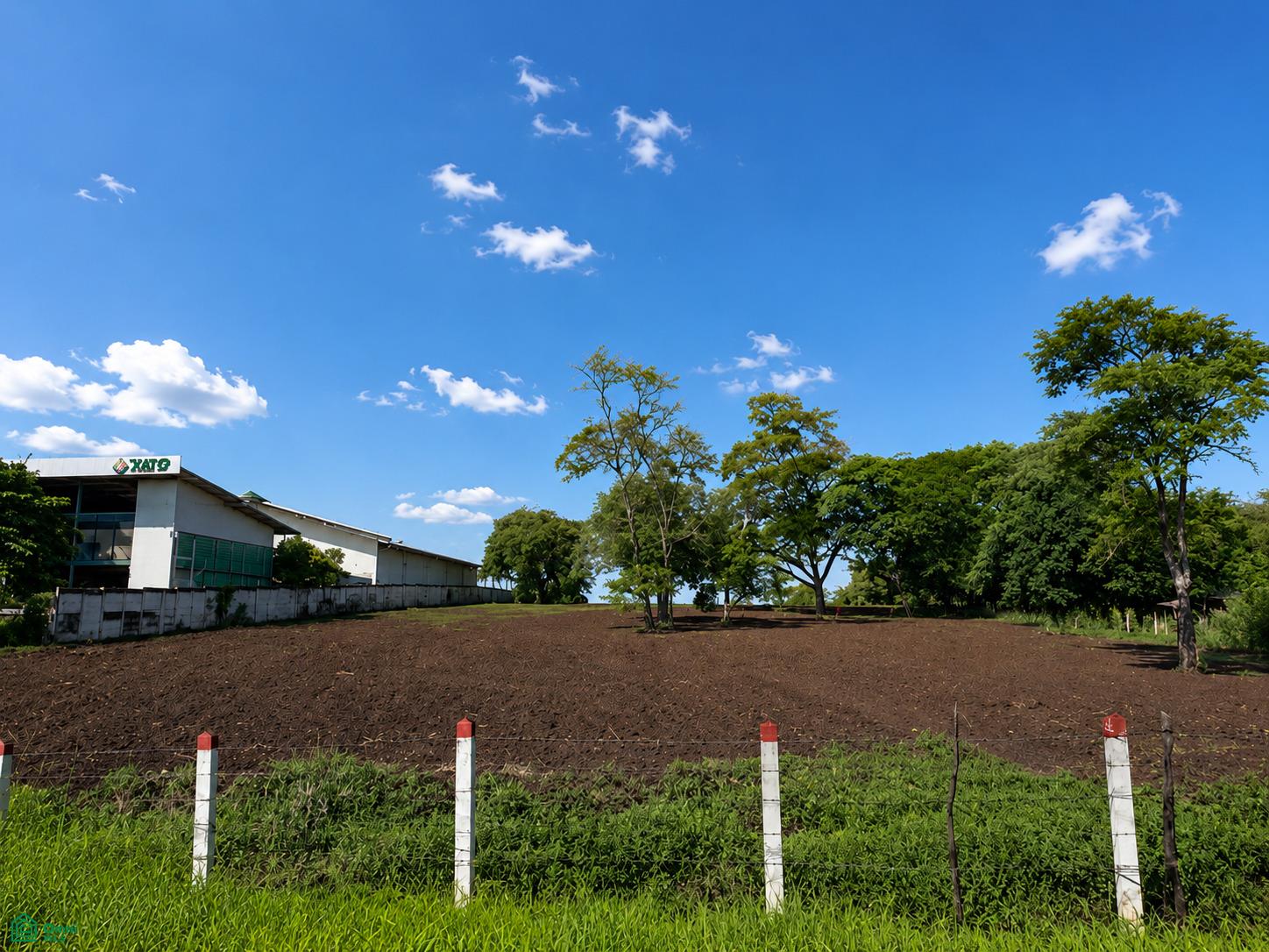  bed Land For Sale in Alajuela, Alajuela - 1