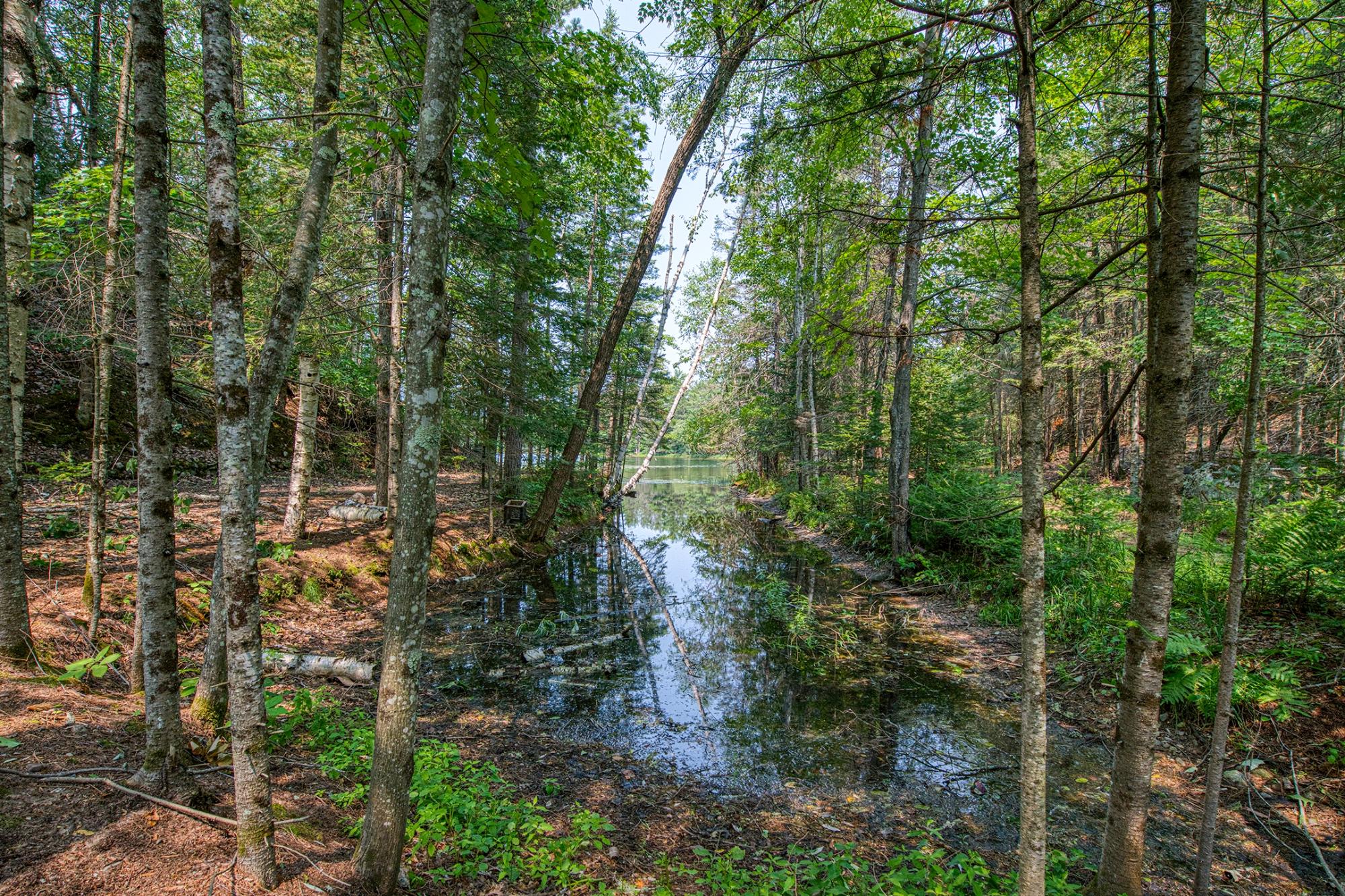 Deer Lake LOL Property 5165 Deer Lake Rd Photo 3