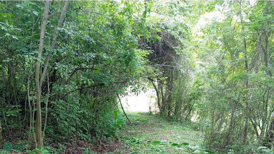 bed Land For Sale in Garabito, Puntarenas - 1
