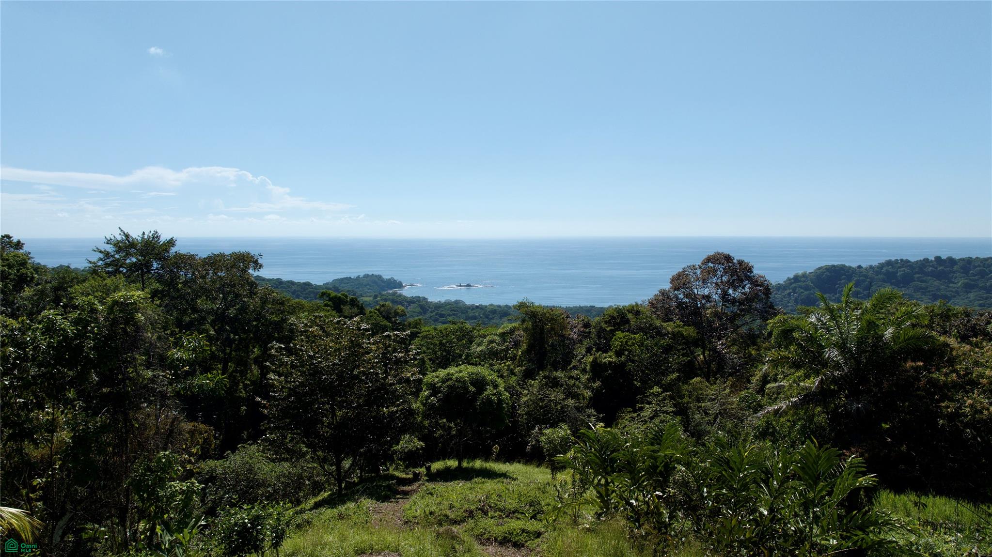  bed Land For Sale in Osa, Puntarenas - 1