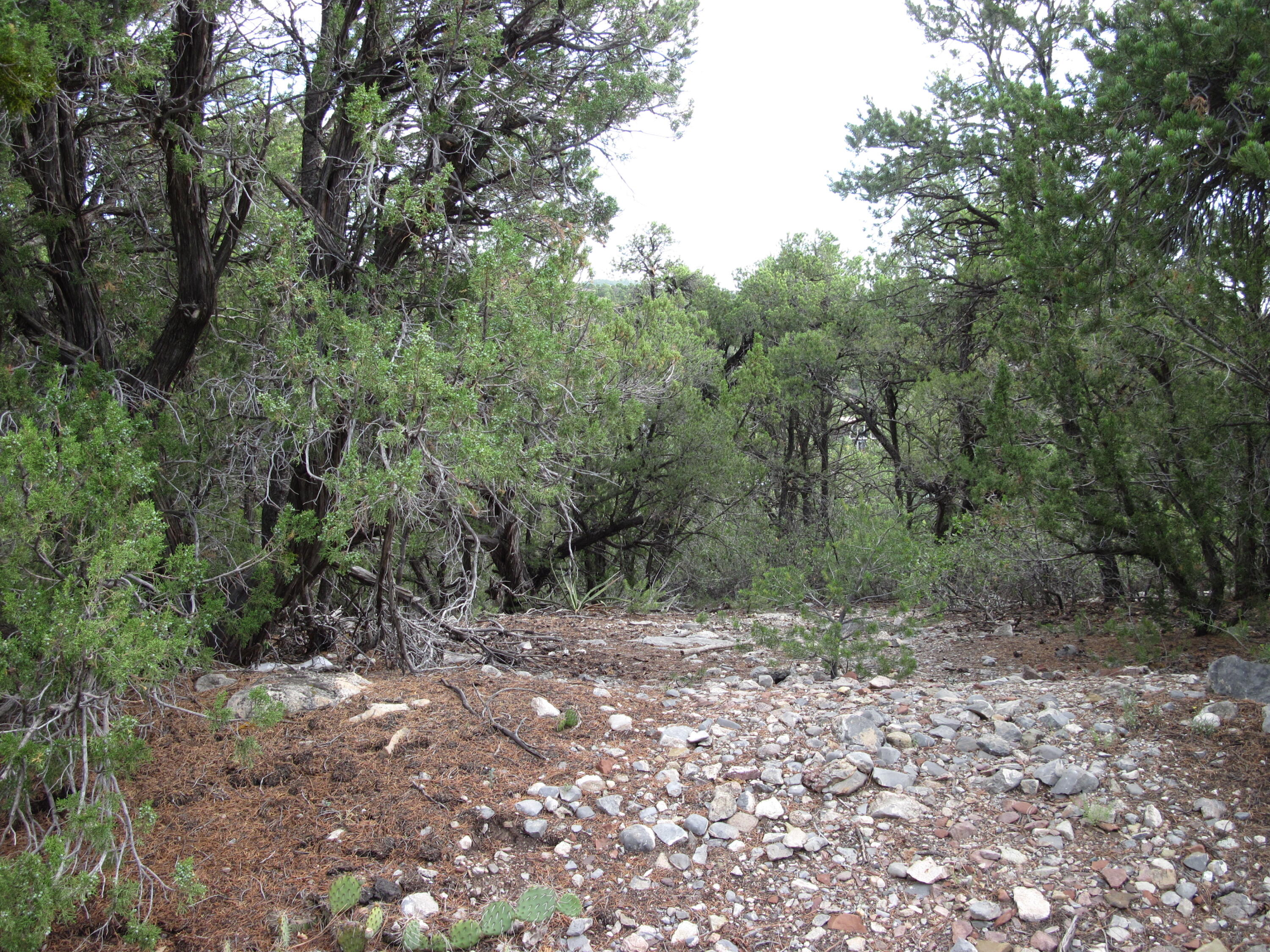 0 Beaver Lane 