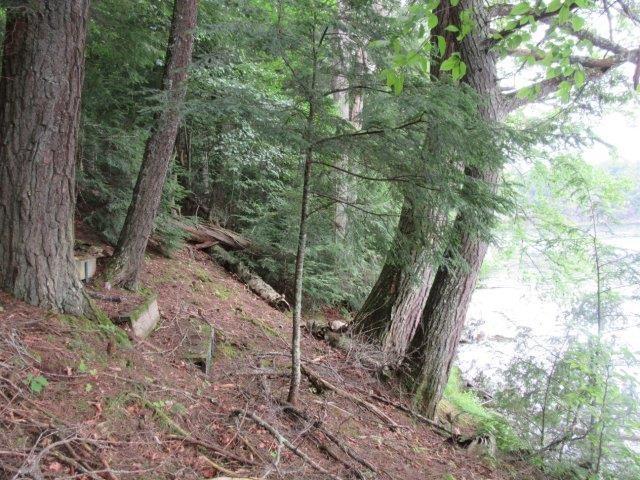 Muskesin Lake Property ON Arbor Ln Photo 3