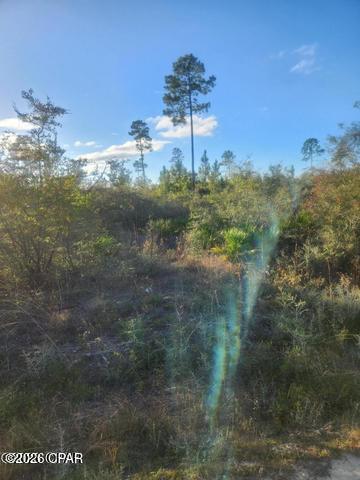 1st image of 00 Nw Hwy 167 County Road 167, Fountain, FL 32438 | MLS# 793327