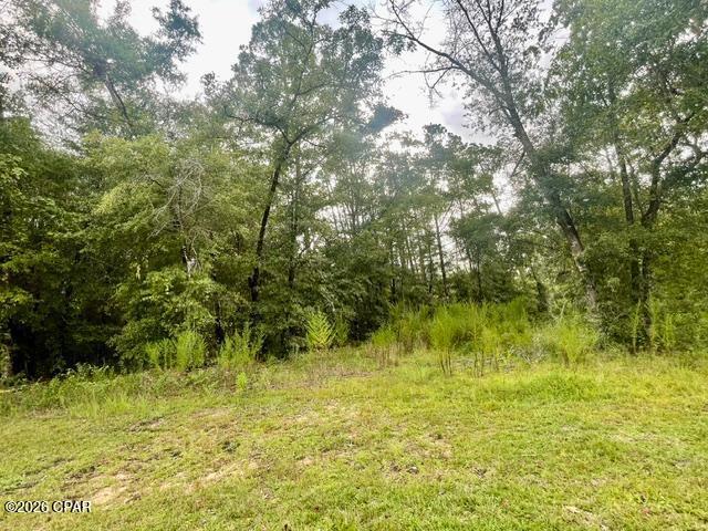 1st image of 0 View Dr, Alford, FL 32420 | MLS# 793454