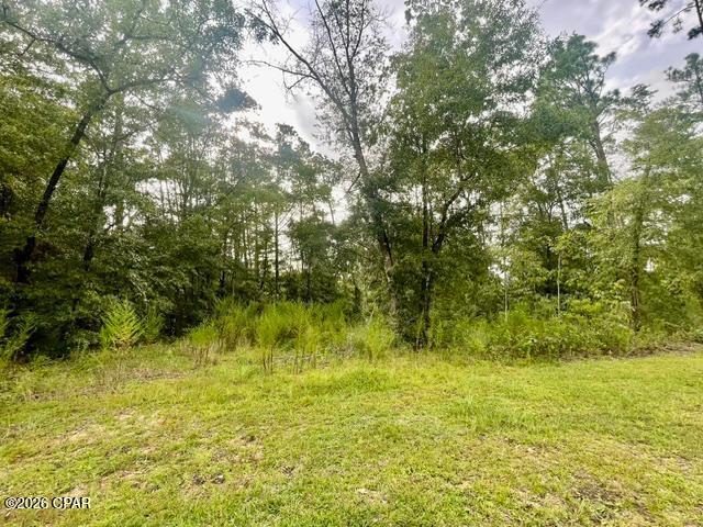 2nd image of 0 View Dr, Alford, FL 32420 | MLS# 793454