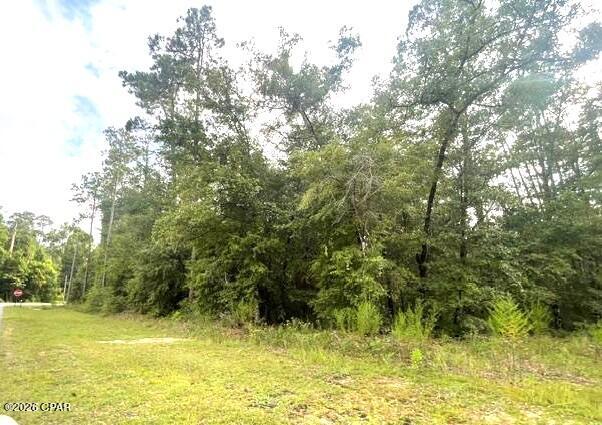 3rd image of 0 View Dr, Alford, FL 32420 | MLS# 793454