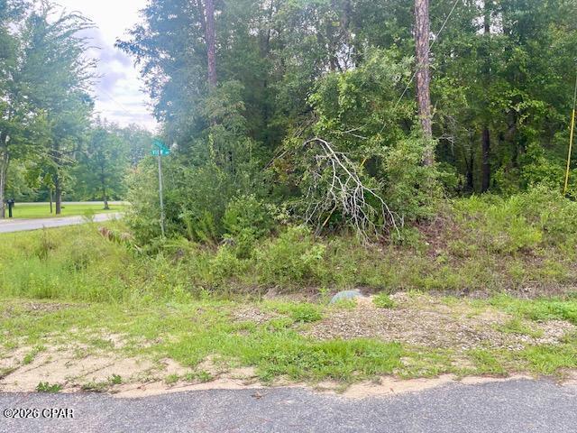 4th image of 0 View Dr, Alford, FL 32420 | MLS# 793454