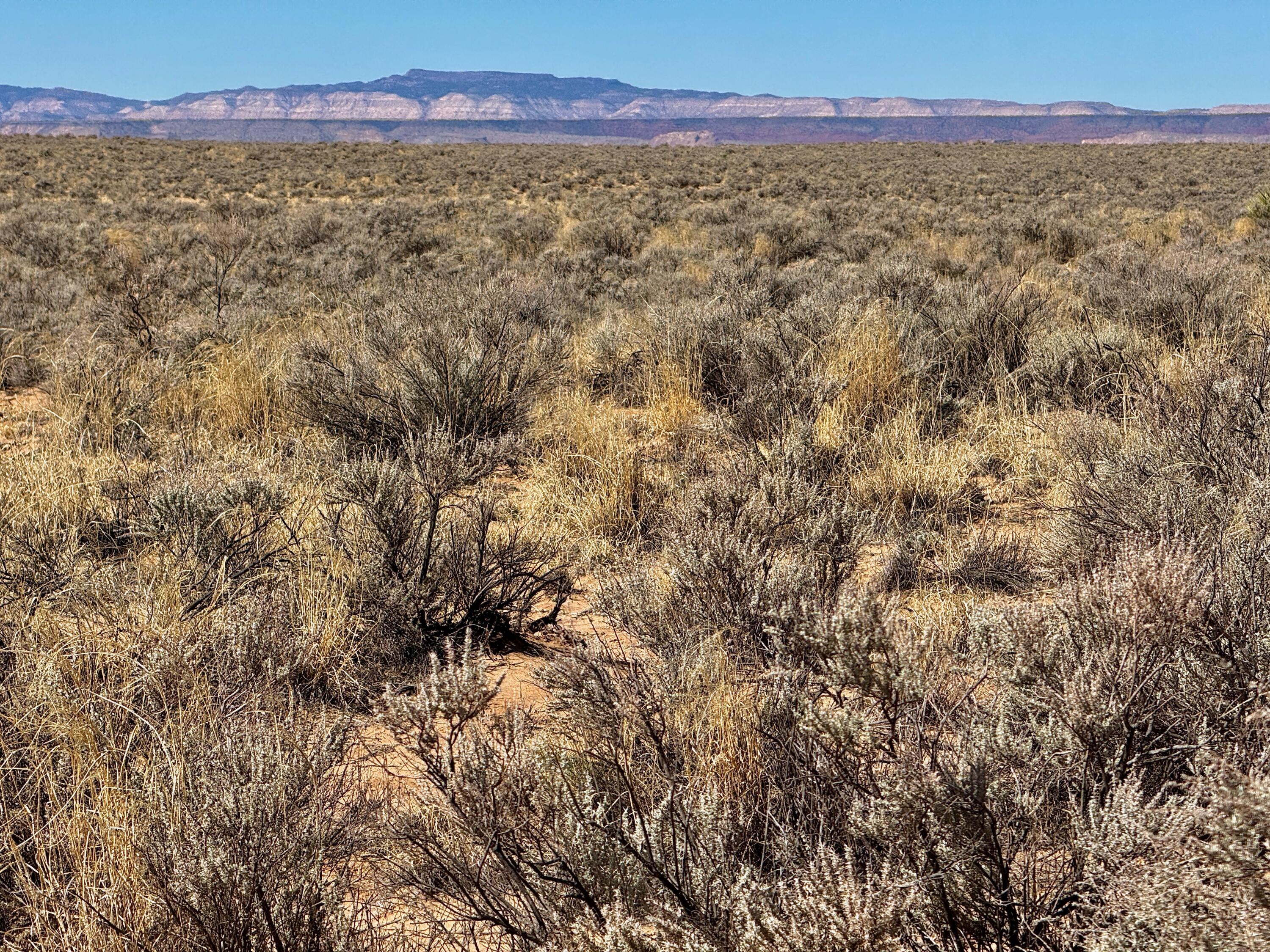 Lot 17 Quintana Road 