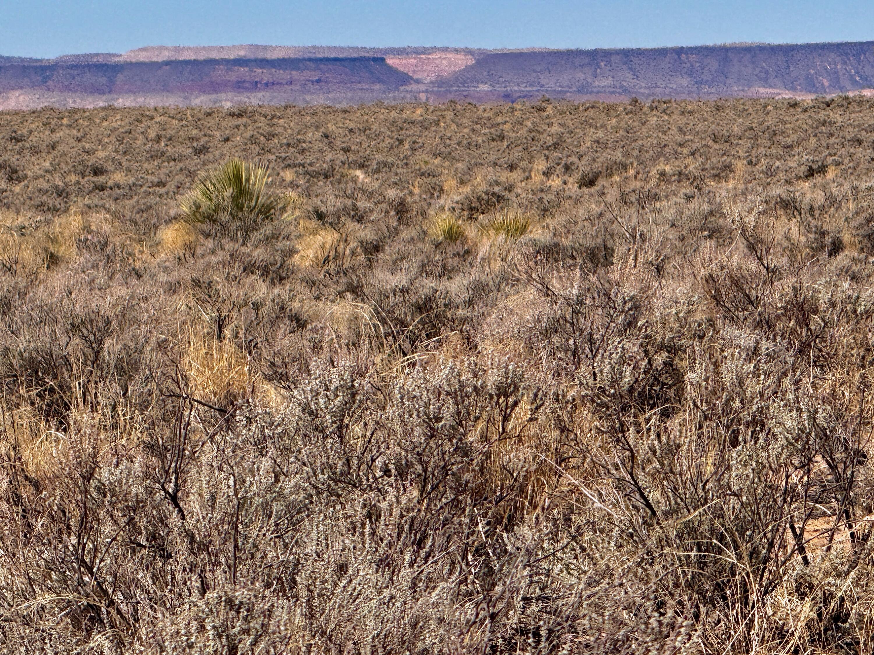 Lot 17 Quintana Road 