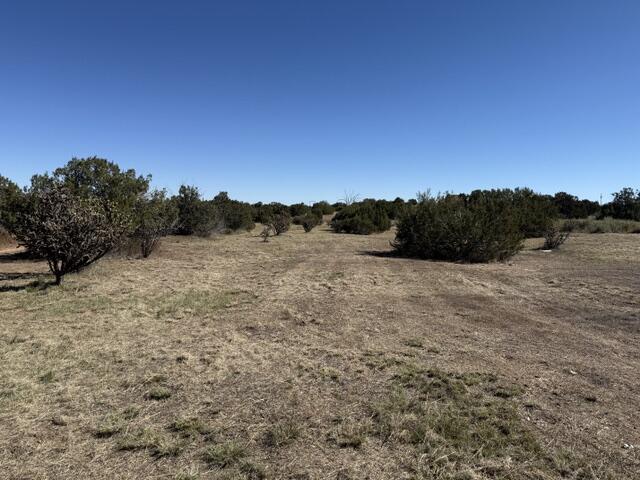 TBD Indian Hills Road 