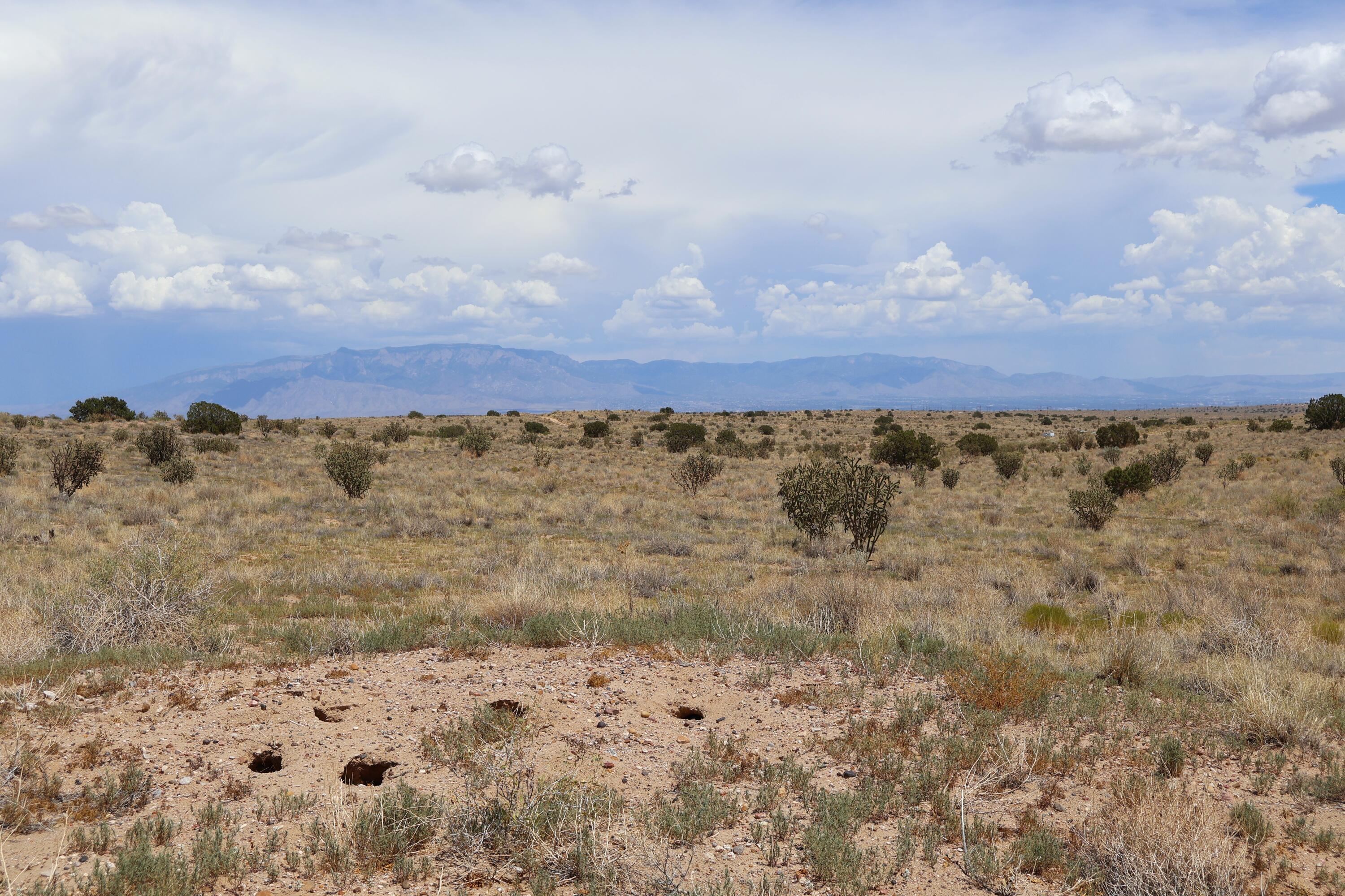 Lot 20 Rio Rancho Estates SW 