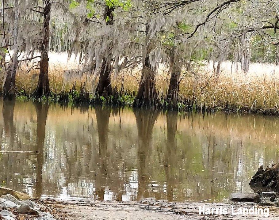 44th image of 659 Harris Landing Rd, Georgetown, SC 29440 | MLS# 2619124