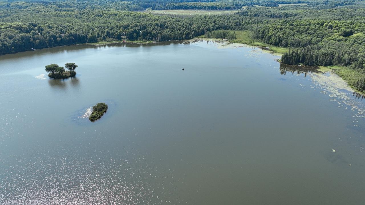 Twin Island Lake Property 7872 Musket Rd Photo 5