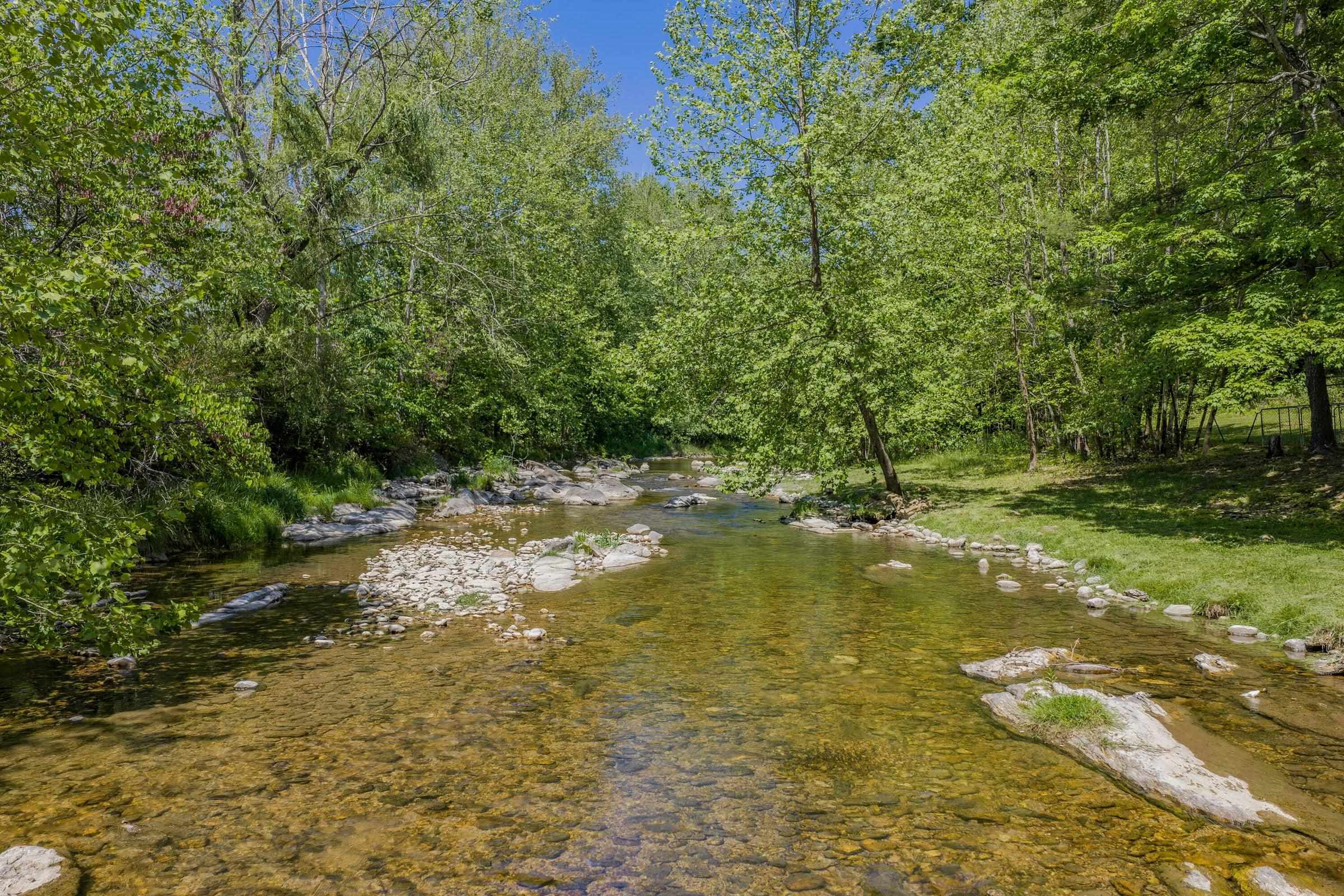 53 & 13 SIDING LN, Vesuvius, VA 24483