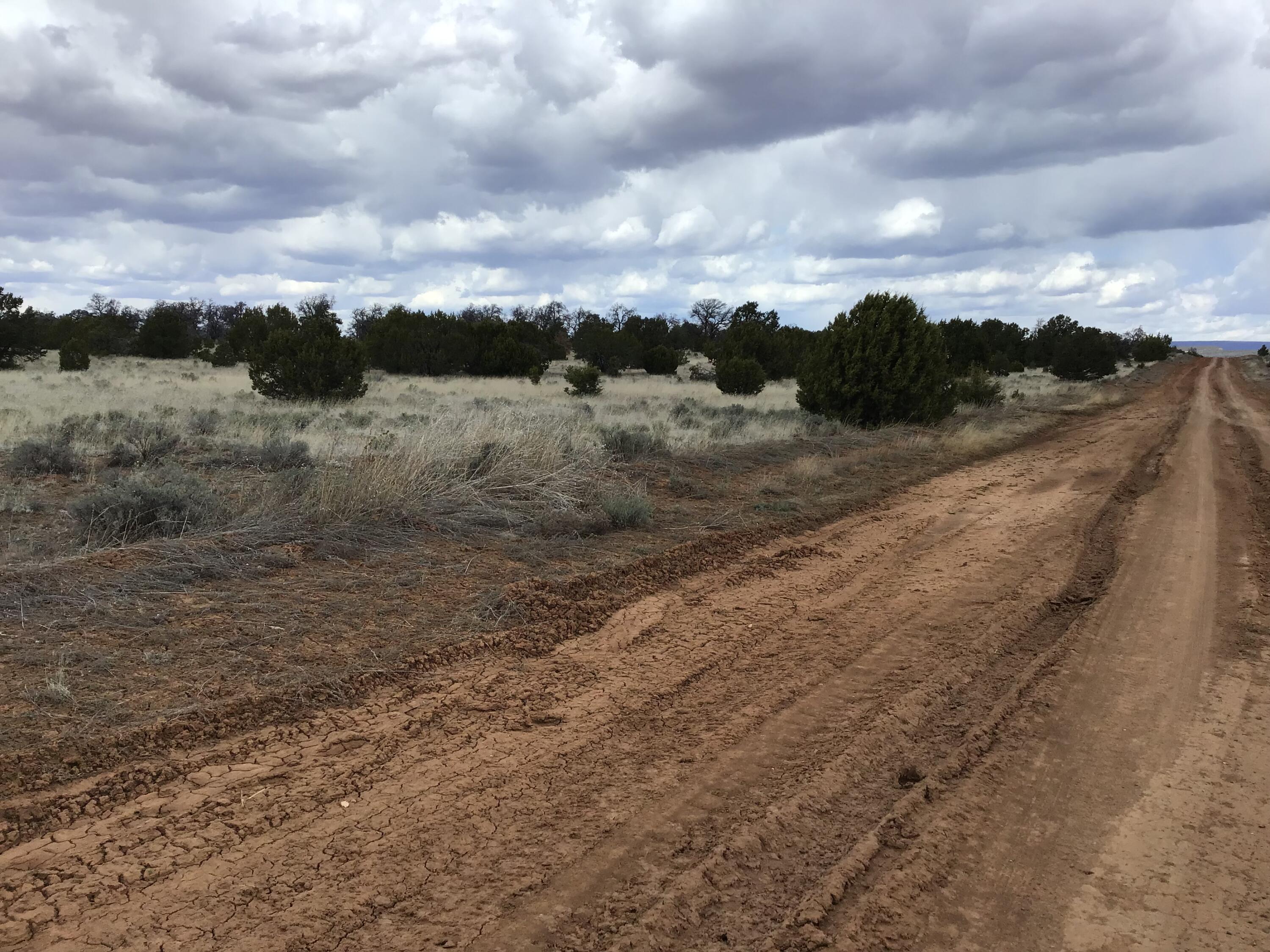 3rd image of Lots 38-39 Country Lane, Ramah, NM 87321 | MLS# 1108424