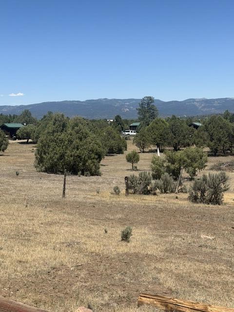 2nd image of 49a Huron Pl, Los Ojos, NM 87551 | MLS# 1108436